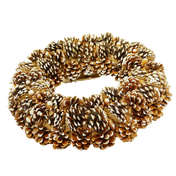 Pine Cone Wreath 1