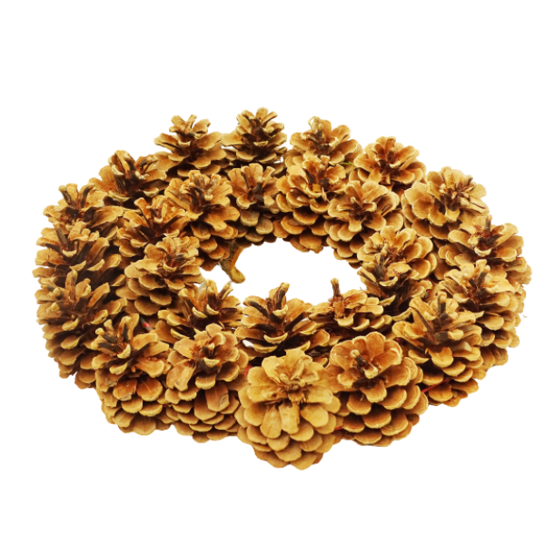 Pine Cone Wreath 6