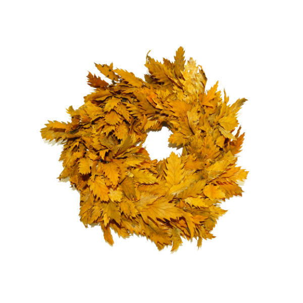 Pine Cone Wreath 11
