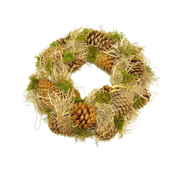Pine Cone Wreath 14