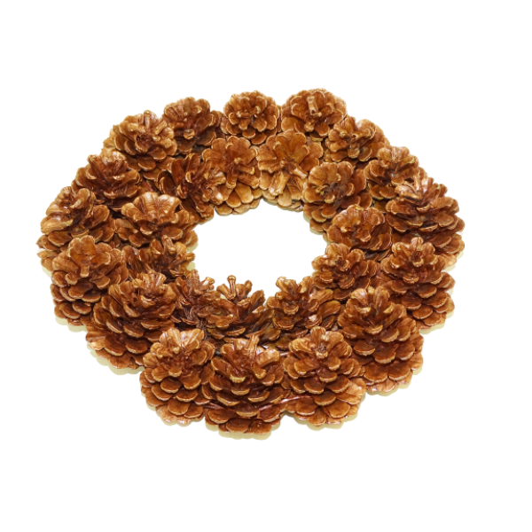 Pine Cone Wreath 22