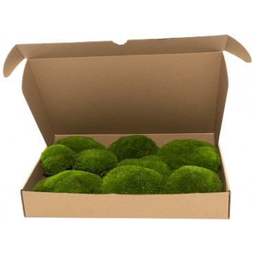 Ball Moss Mini Box Ball Moss Mini Box...