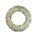Lichen Wreath