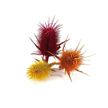 Natural Product Natural Product...