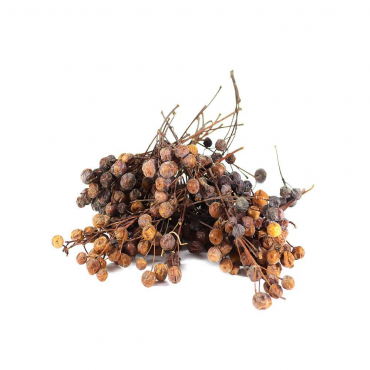 Natural Product 10 Natural Product 10...