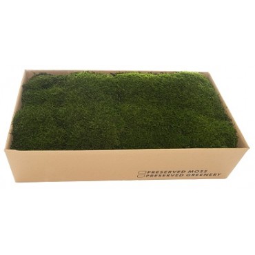 Flat Moss Box Flat Moss Box...