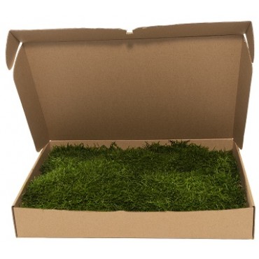 Flat Moss Mini box Flat Moss Mini box...