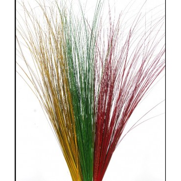 Gynerium Preserved...