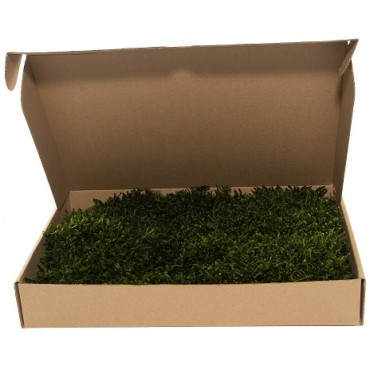 Long Moss Mini Box Long Moss Mini Box...