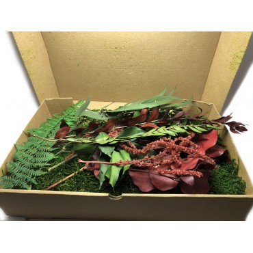 Moss and Plant Varie...