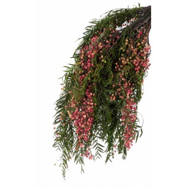 Pepper Berries Pepper Berries...