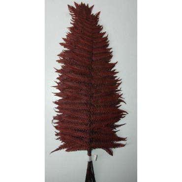 Perchement Fern Perchement Fern...