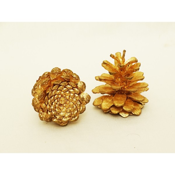 Pine Cone Gold