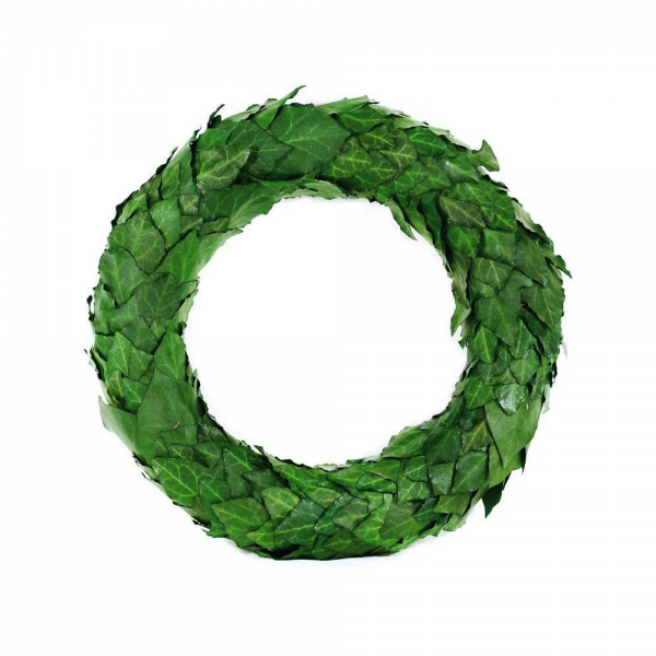 Plant Wreath 2