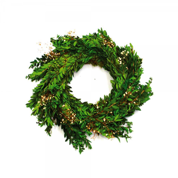 Plant Wreath 3