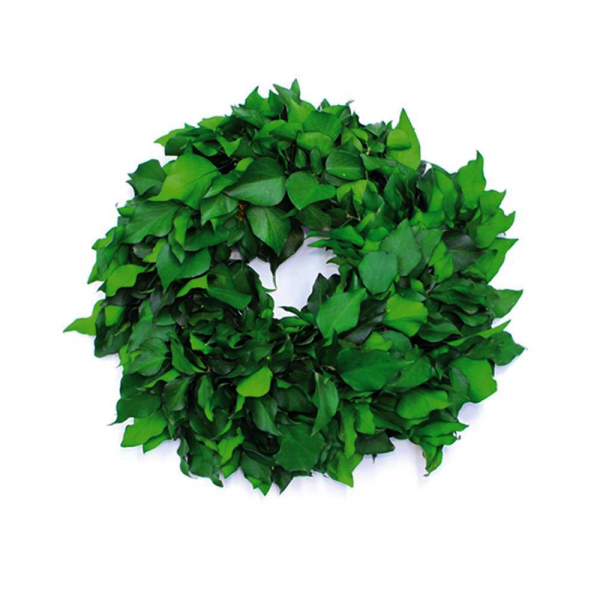 Plant Wreath 6