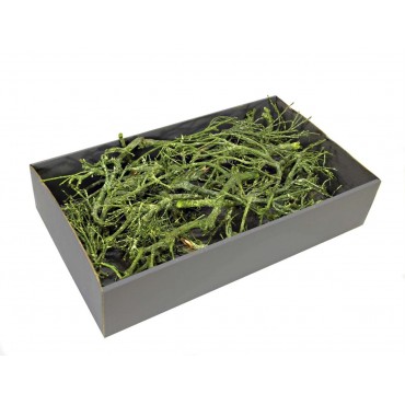 Natural Product 4 Natural Product 4...